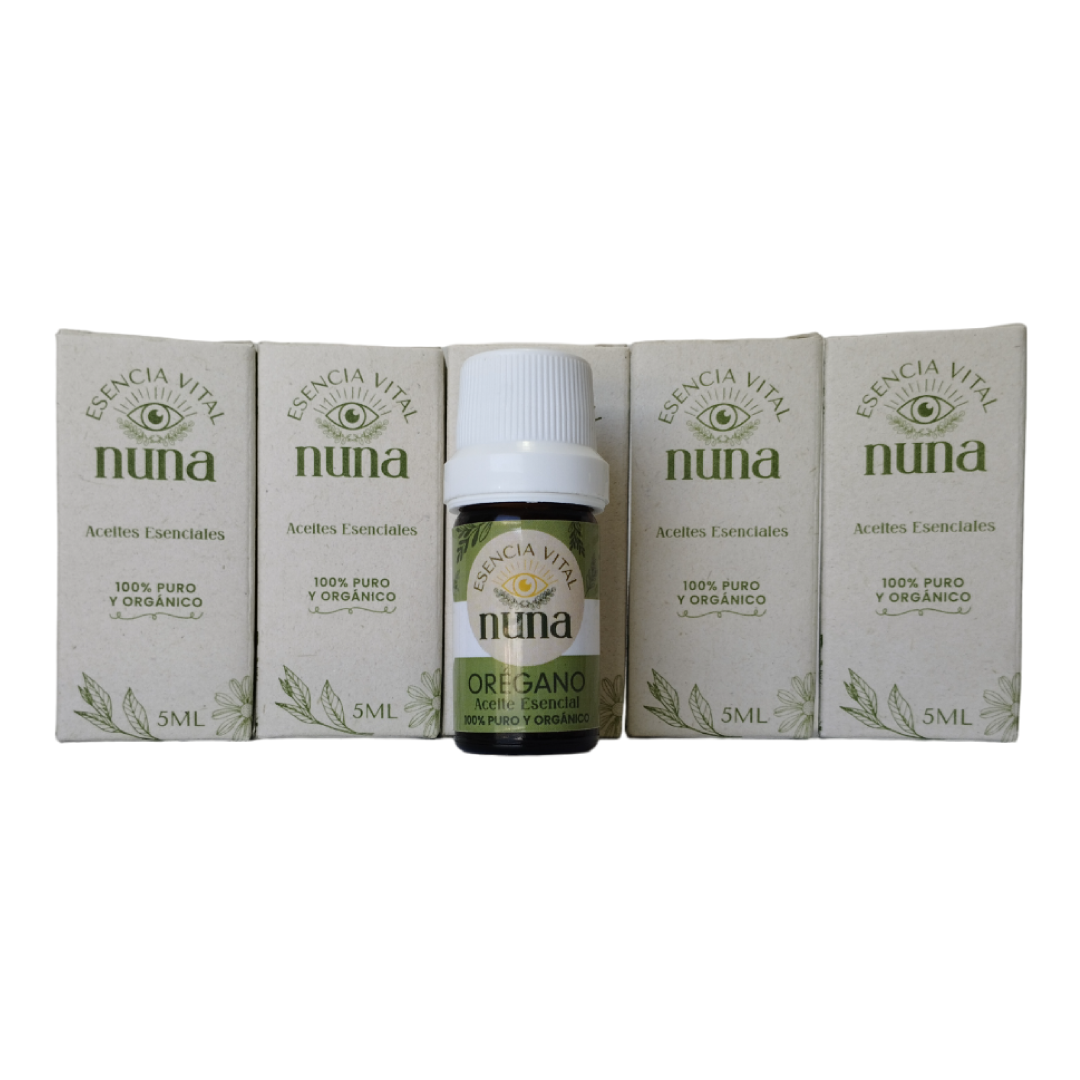 1722313112fotos-rocketfy-org-3